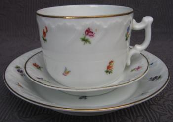 Cup and Saucer - 1900